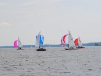 shark2011-1