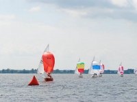 shark2011-2