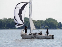 shark2011-3