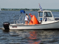 shark2011-4