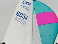 _ACP9831