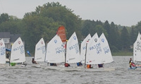 _NIK2298