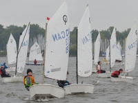 _NIK2316