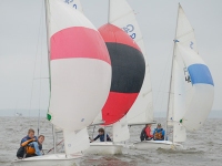 _NIK2478