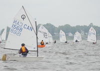 _NIK2545
