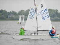 _NIK2546