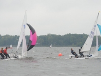 _NIK2629