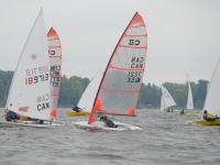 _NIK2679
