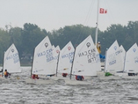 _NIK2837