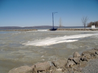 potence-3-2010
